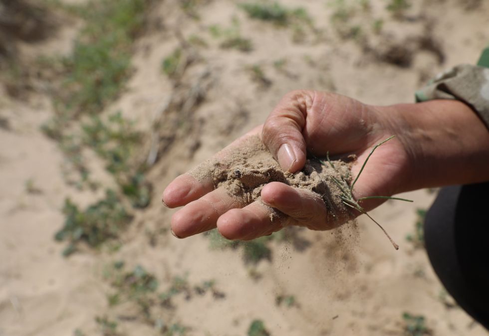 Sandy land in Zhangwu County, northeast China's Liaoning Province.