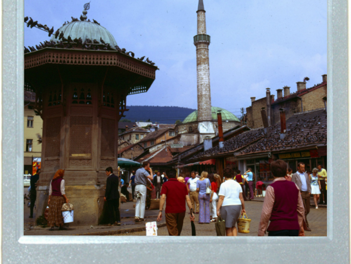 Sarajevo, Same Pigeons