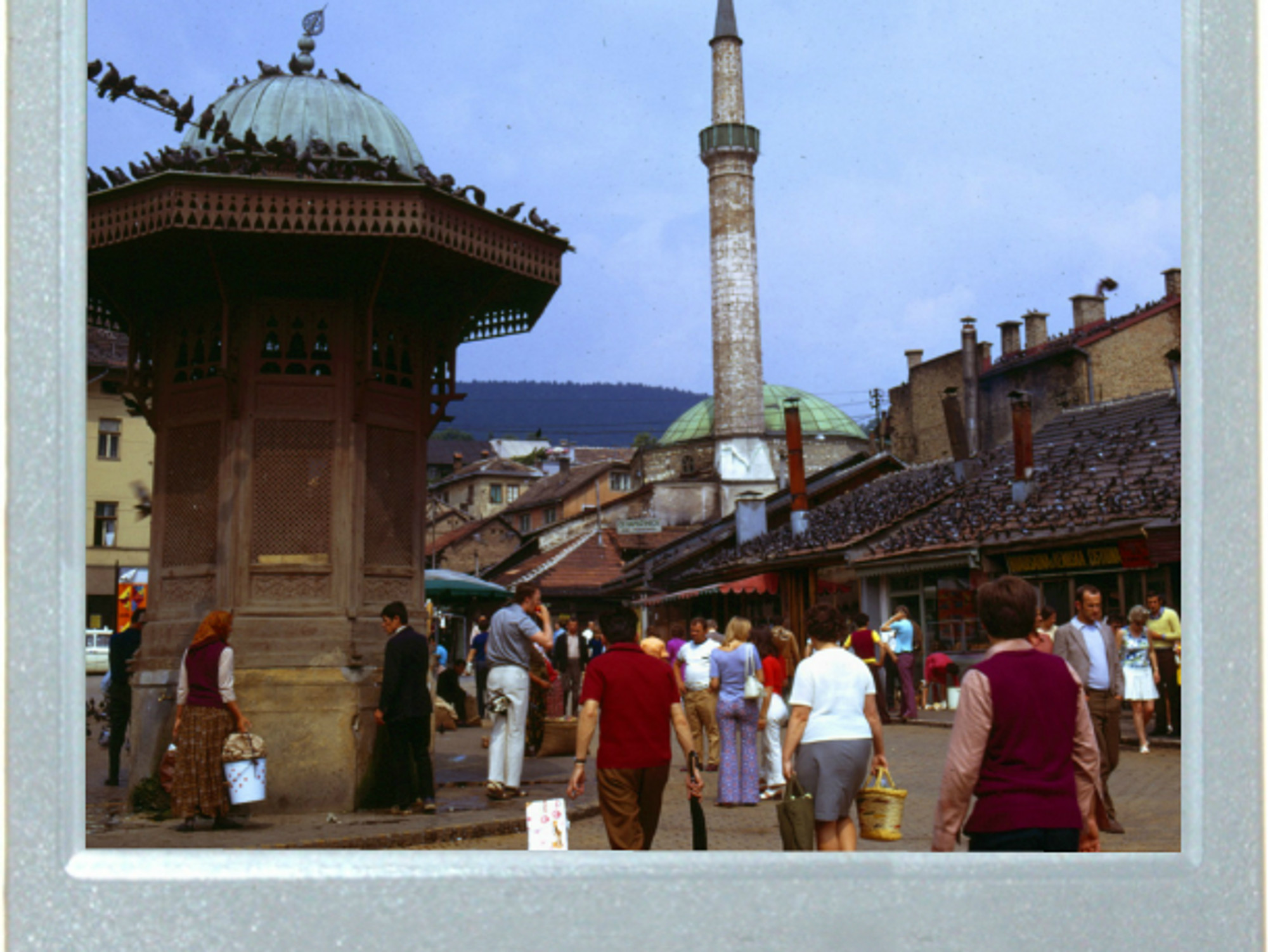 Sarajevo, Same Pigeons