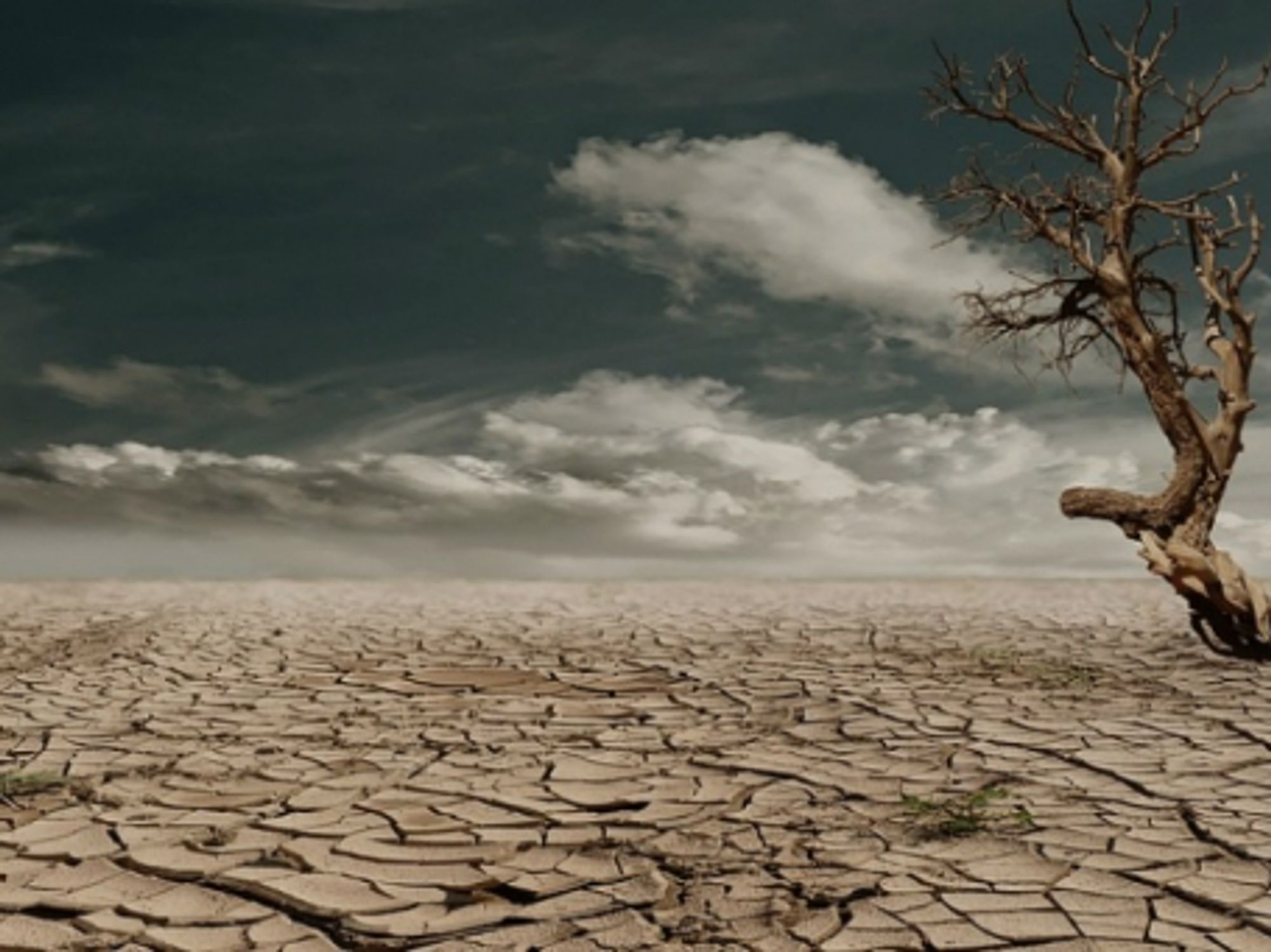 Science fiction no more