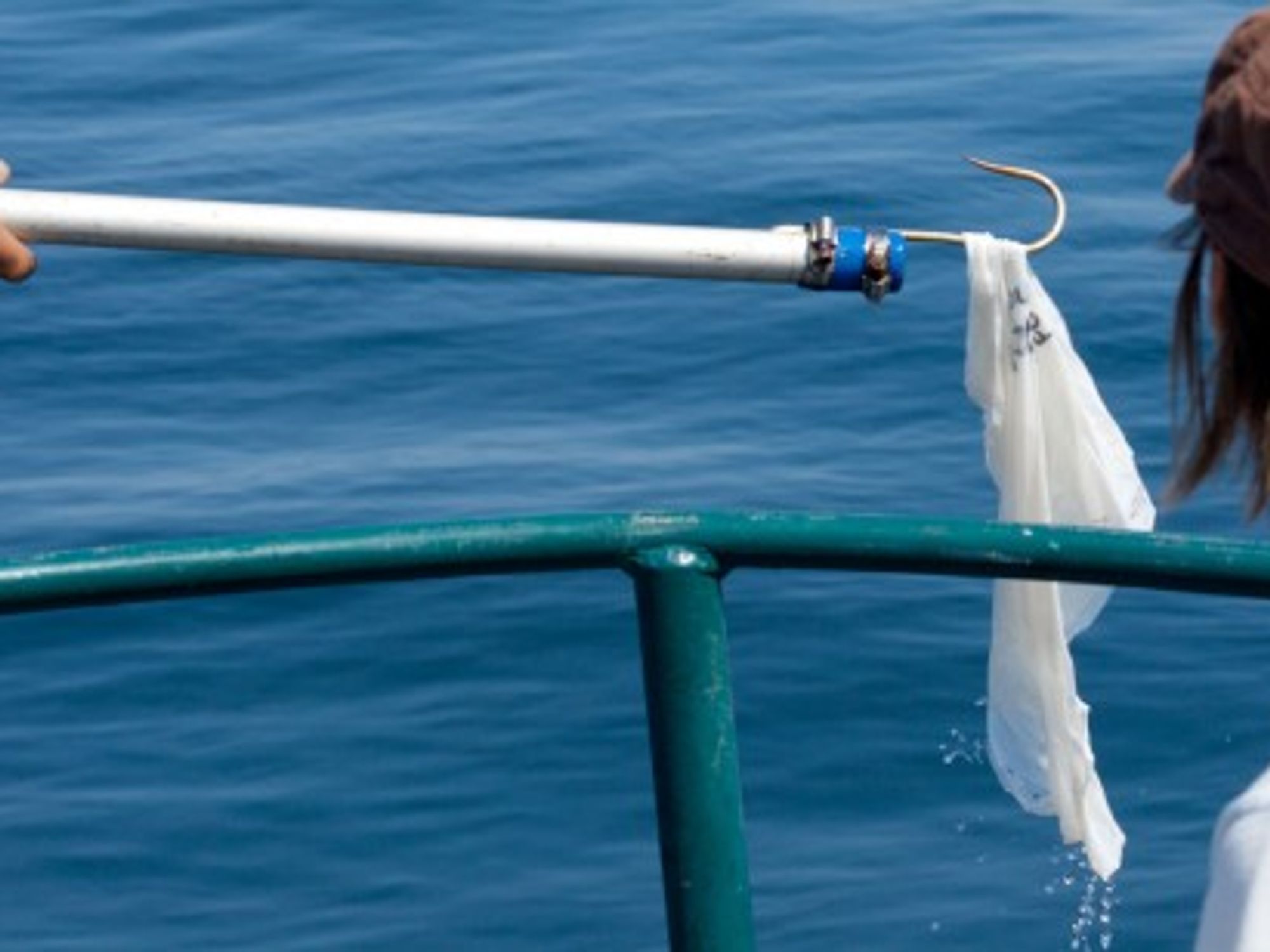 Scientists Disentangle Whale From Perilous Plastic