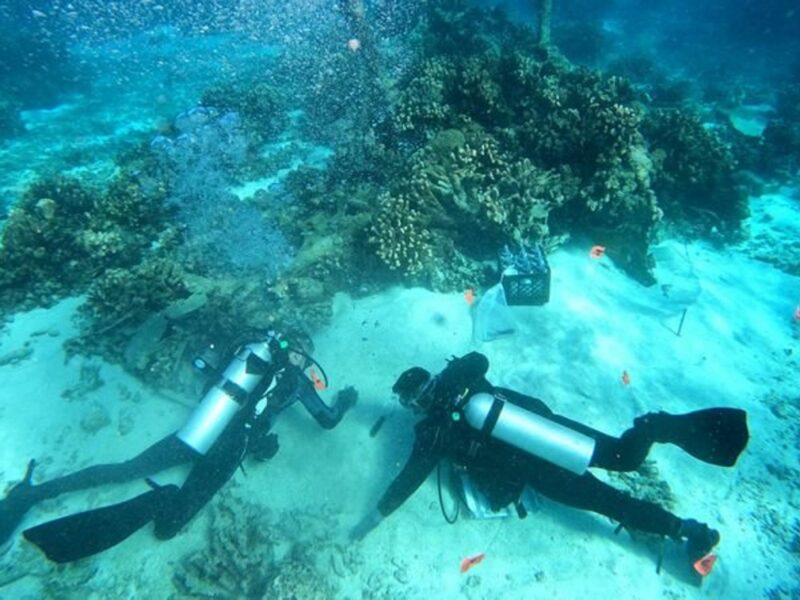 eDNA, The Cutting-Edge Tech That Could Help Identify Those Lost At Sea