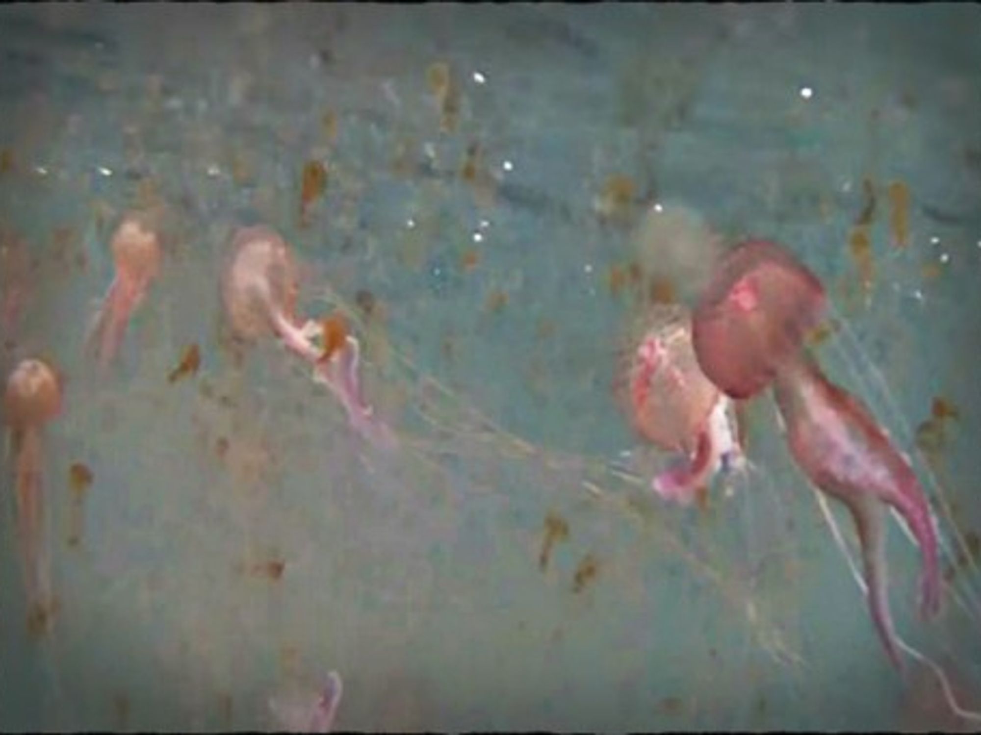 Screenshot of "Filicudi, l'invasione delle meduse"