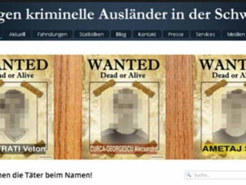 Screenshot of Frommenwiler's website