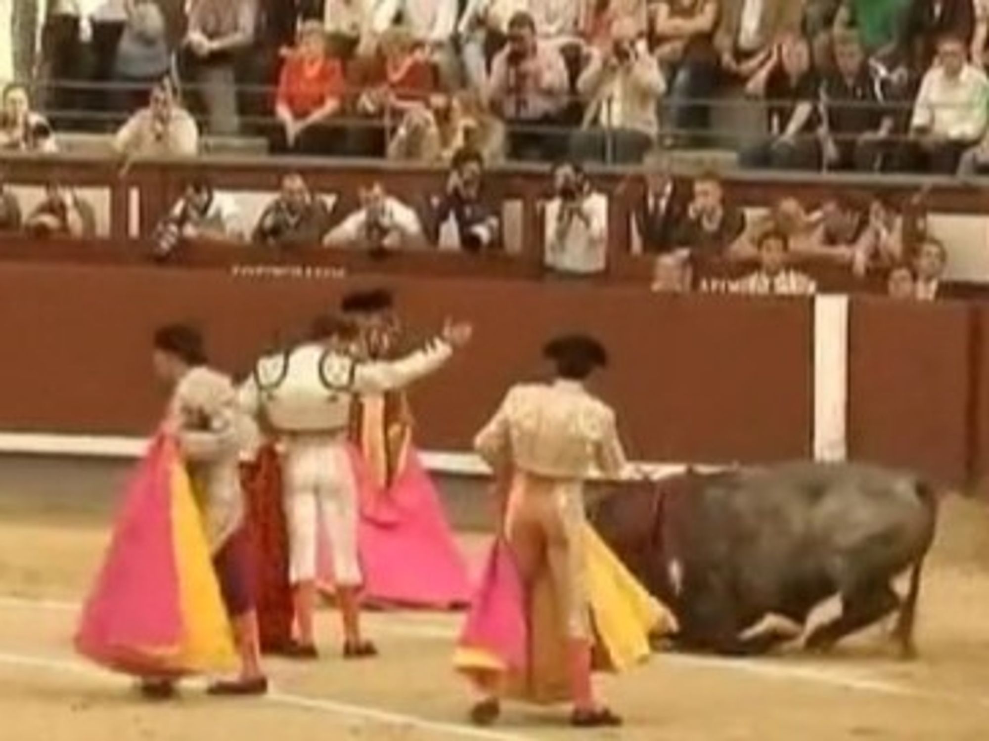 Scuffles As Curtain Falls On Barcelona's Last Bullfight