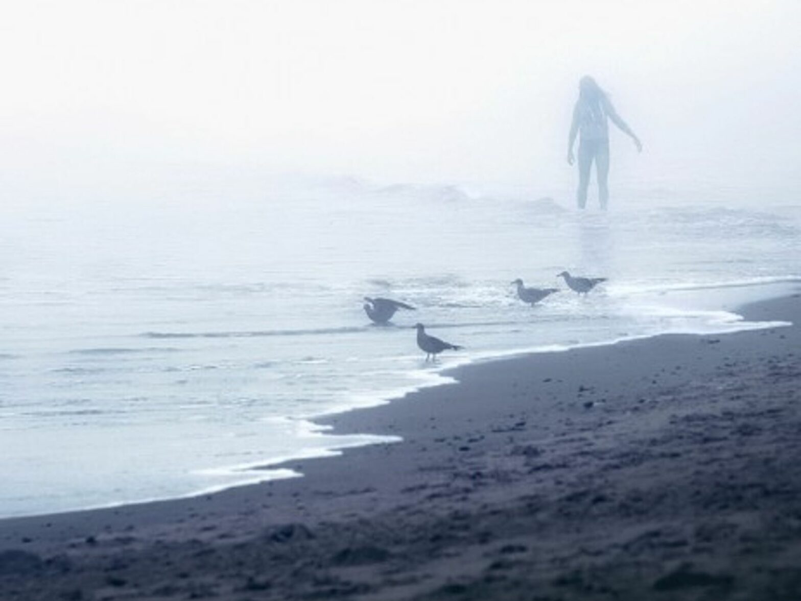 Sea visions