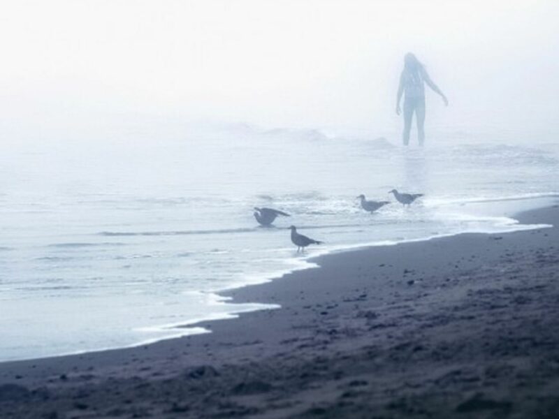 Sea visions