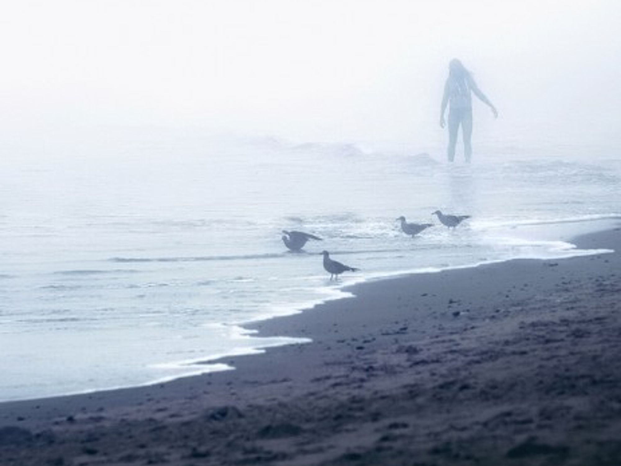 Sea visions