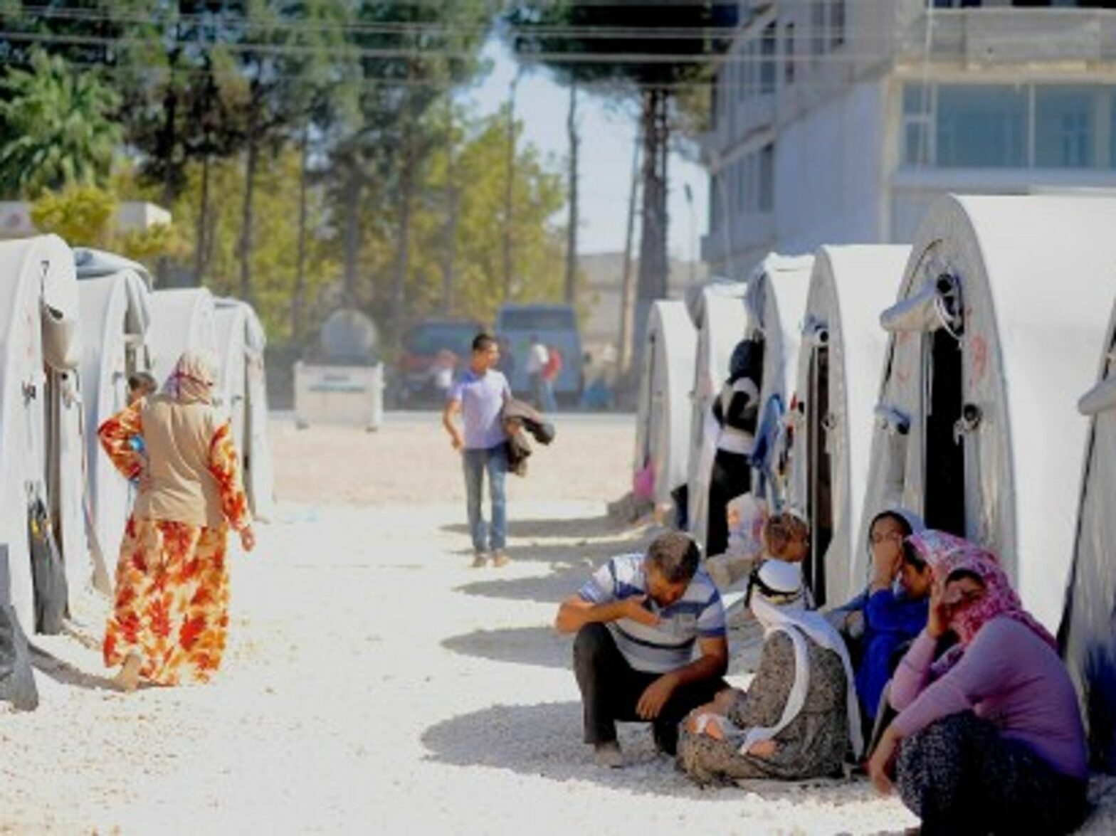 Seeking refuge in Suruc