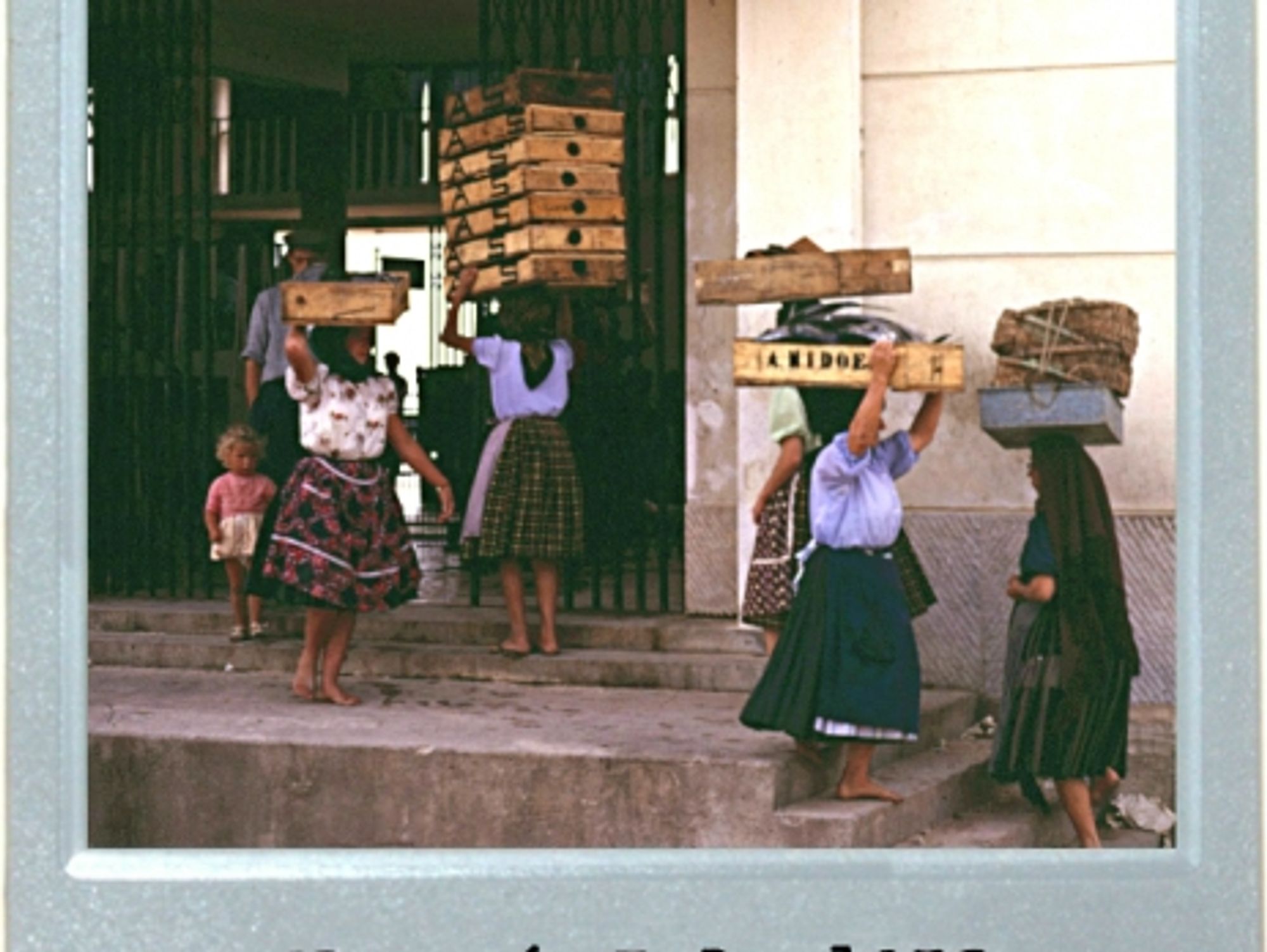 Seven Skirts