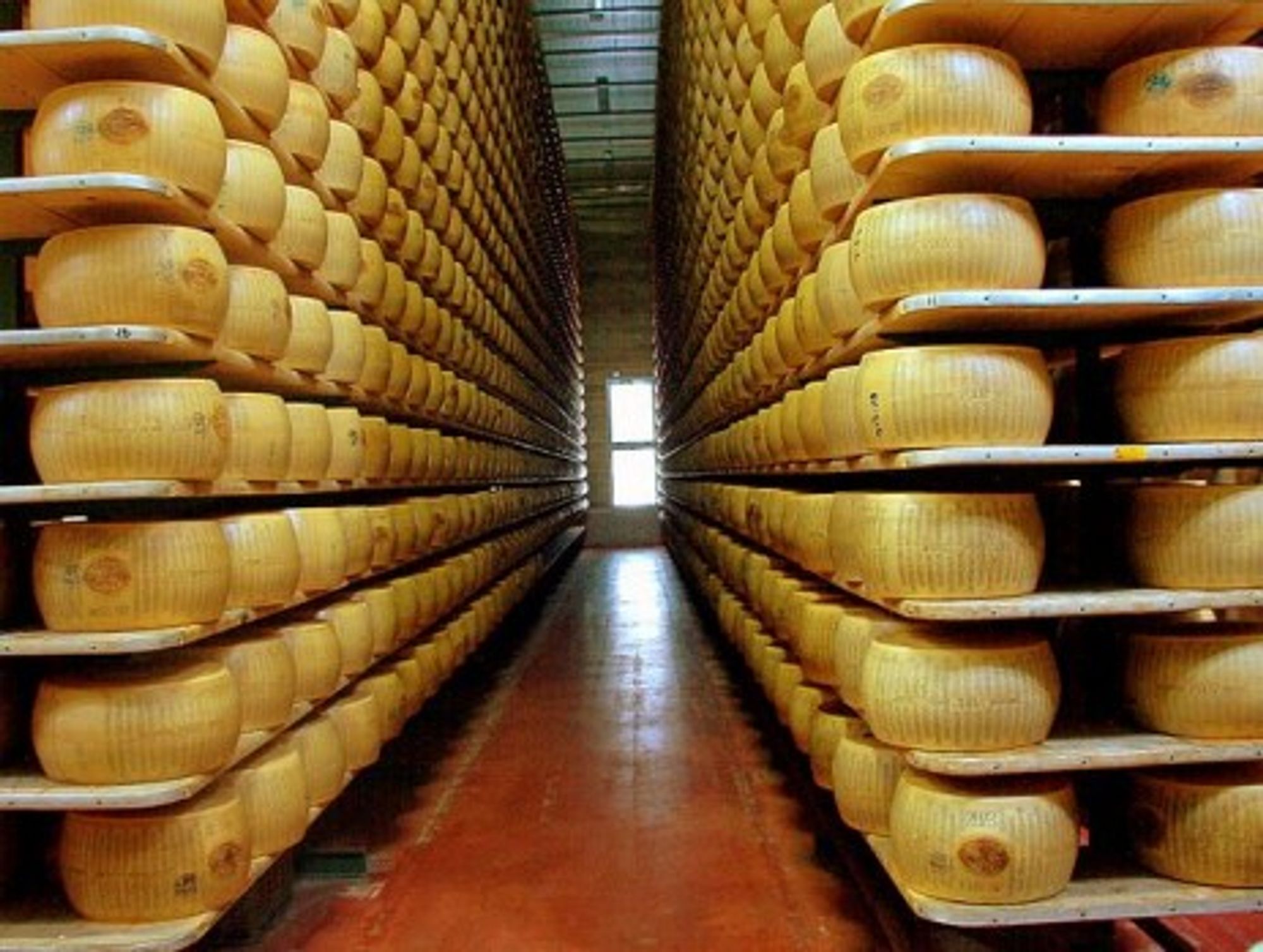 Shelves of Parmesan, Modena