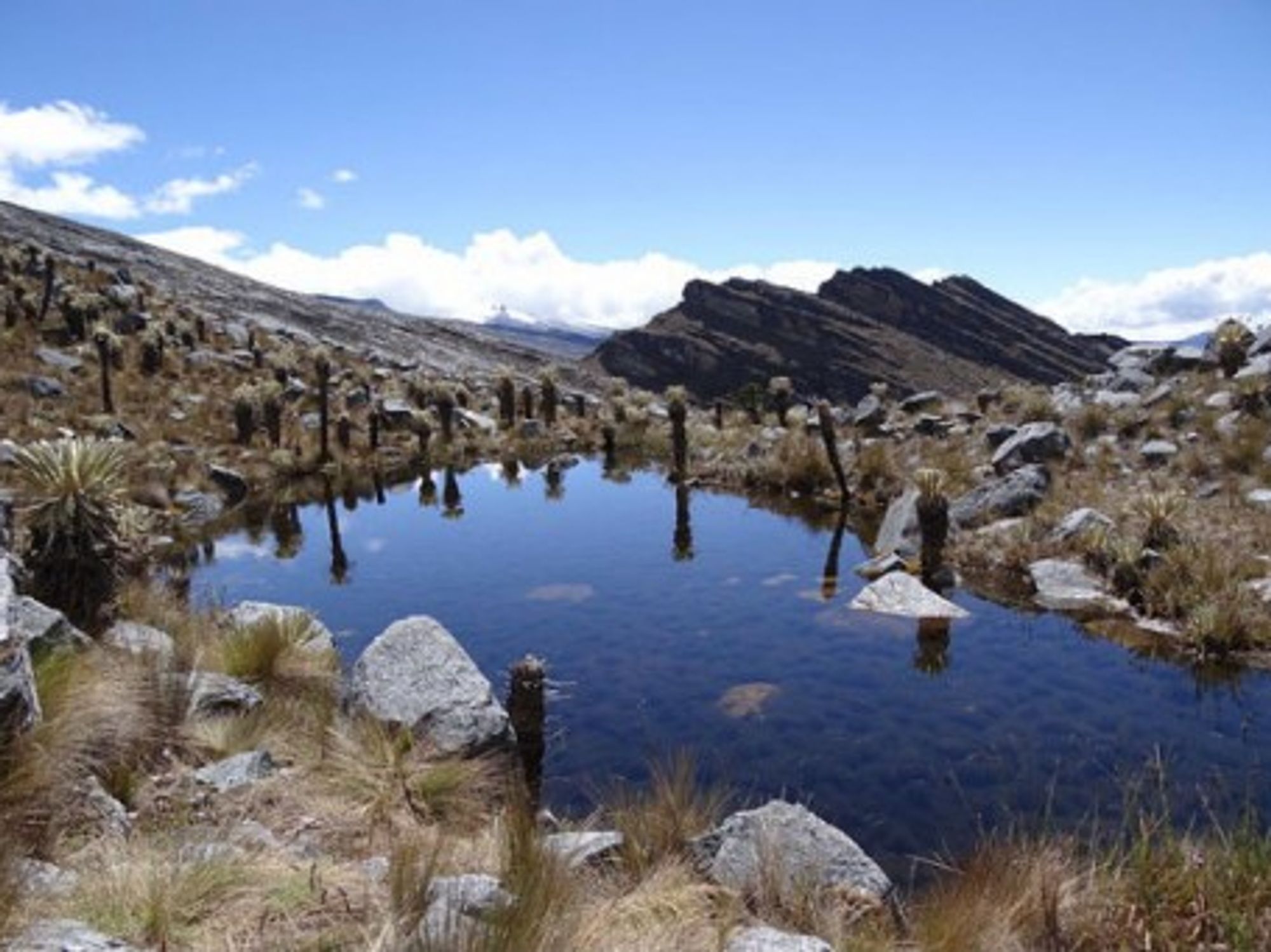 Sierra Nevada de Santa Marta in all its splendor