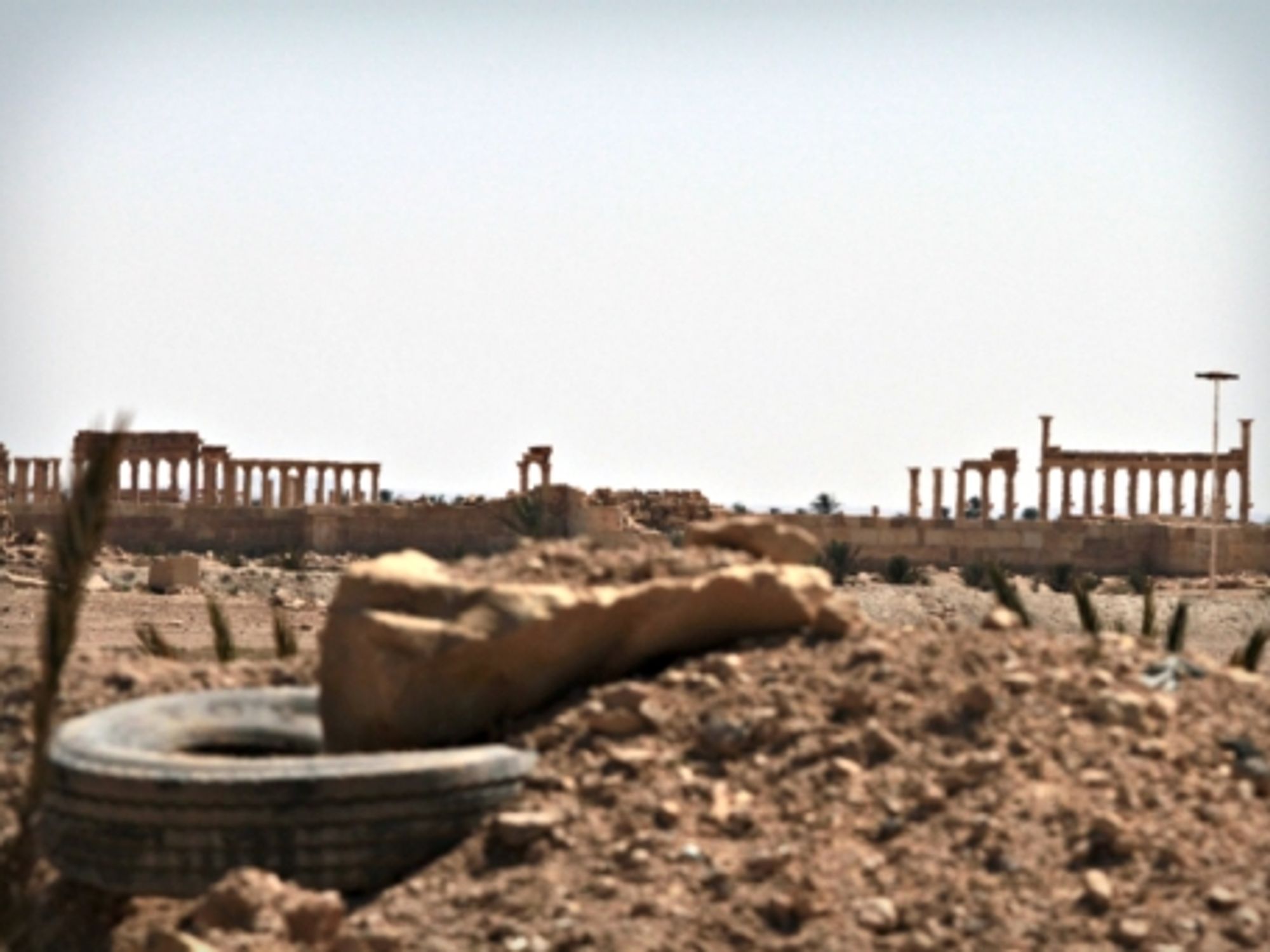 Signs in Palmyra of what came through