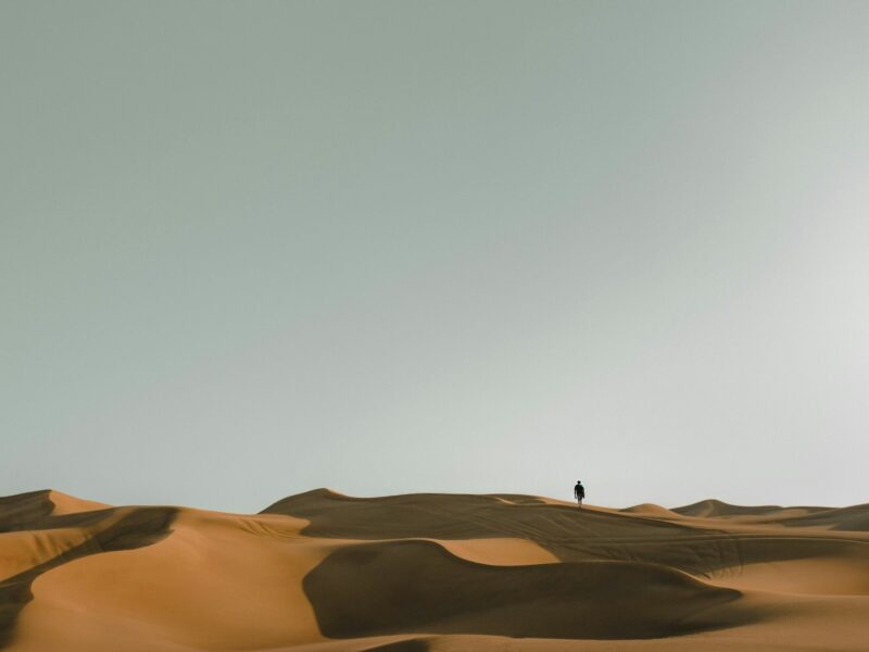 Silhouette of person in Dubai's desert during daytime.