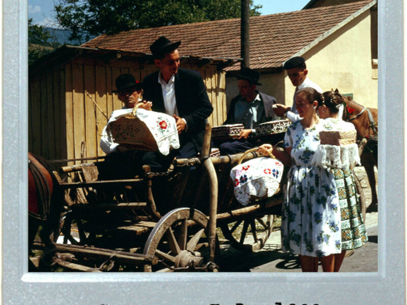 Slice Of Transylvanian Life