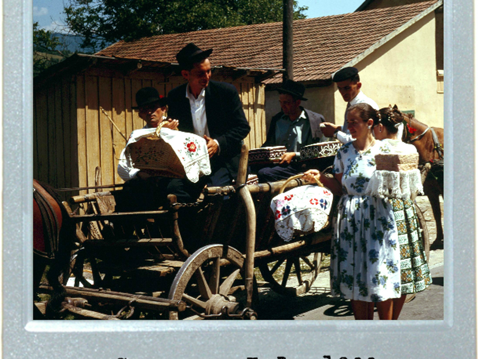 Slice Of Transylvanian Life