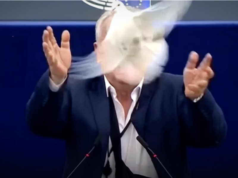 Slovakian MEP Miroslav Radacovsky releasing an illegal dove in European Parliament Chamber.​