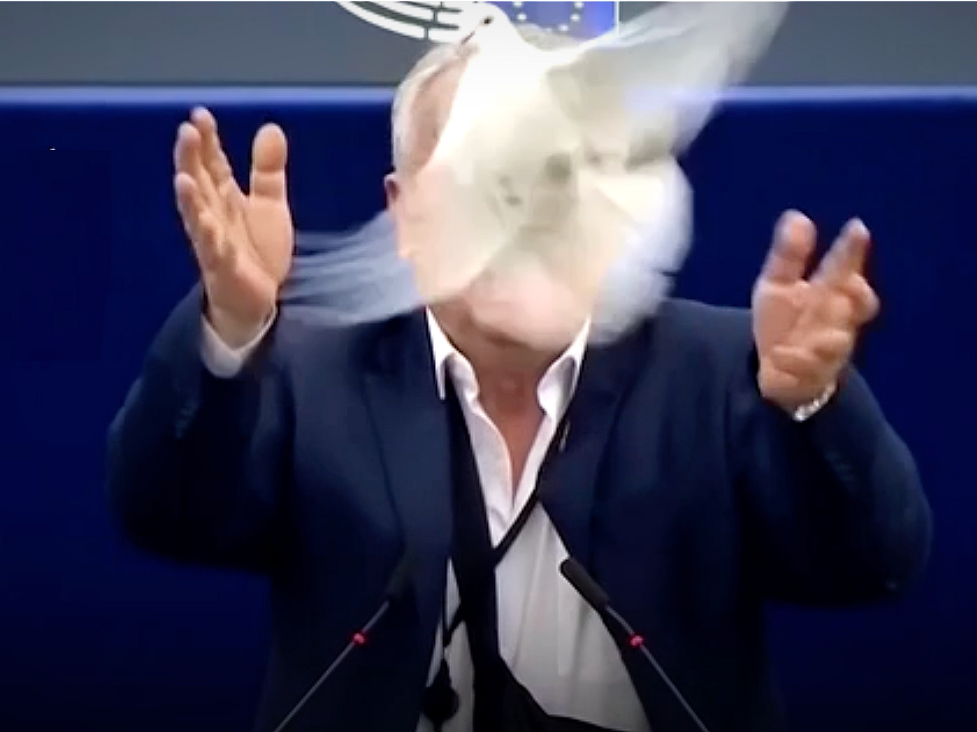 Slovakian MEP Miroslav Radacovsky releasing an illegal dove in European Parliament Chamber.​
