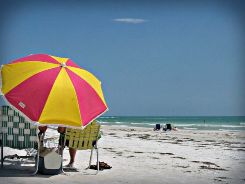 Smartphone Alert: Stay out of the sun