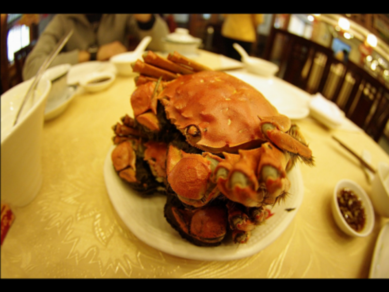 Smitten for mitten crab