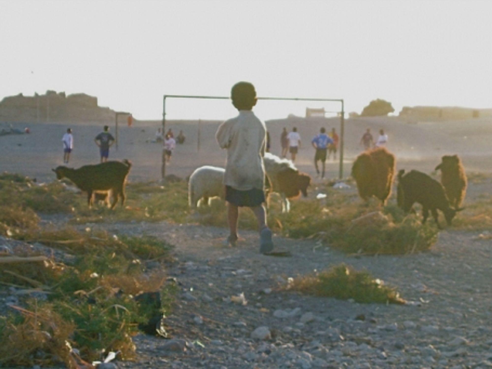 Soccer field near Luxor
