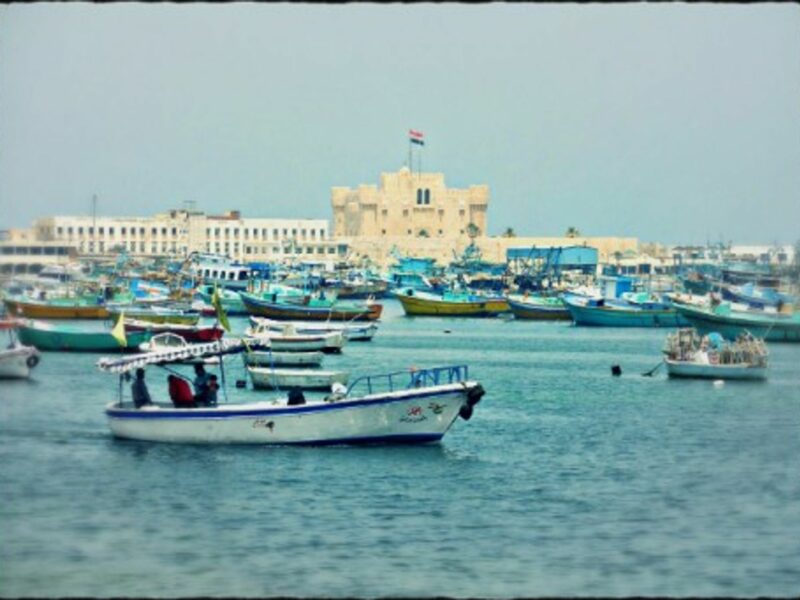 Some 3,000 other Syrian refugees have left Egypt for Lampedusa since August. Pictured: The port of Alexandria