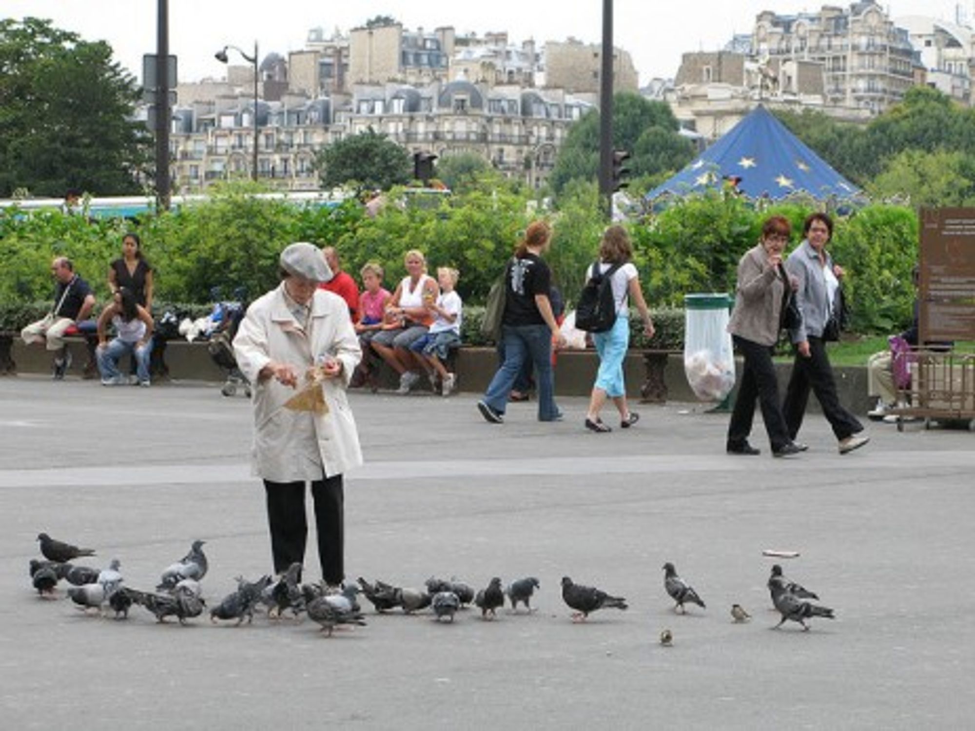 Some 80,000 pigeons are said to plague the French capital
