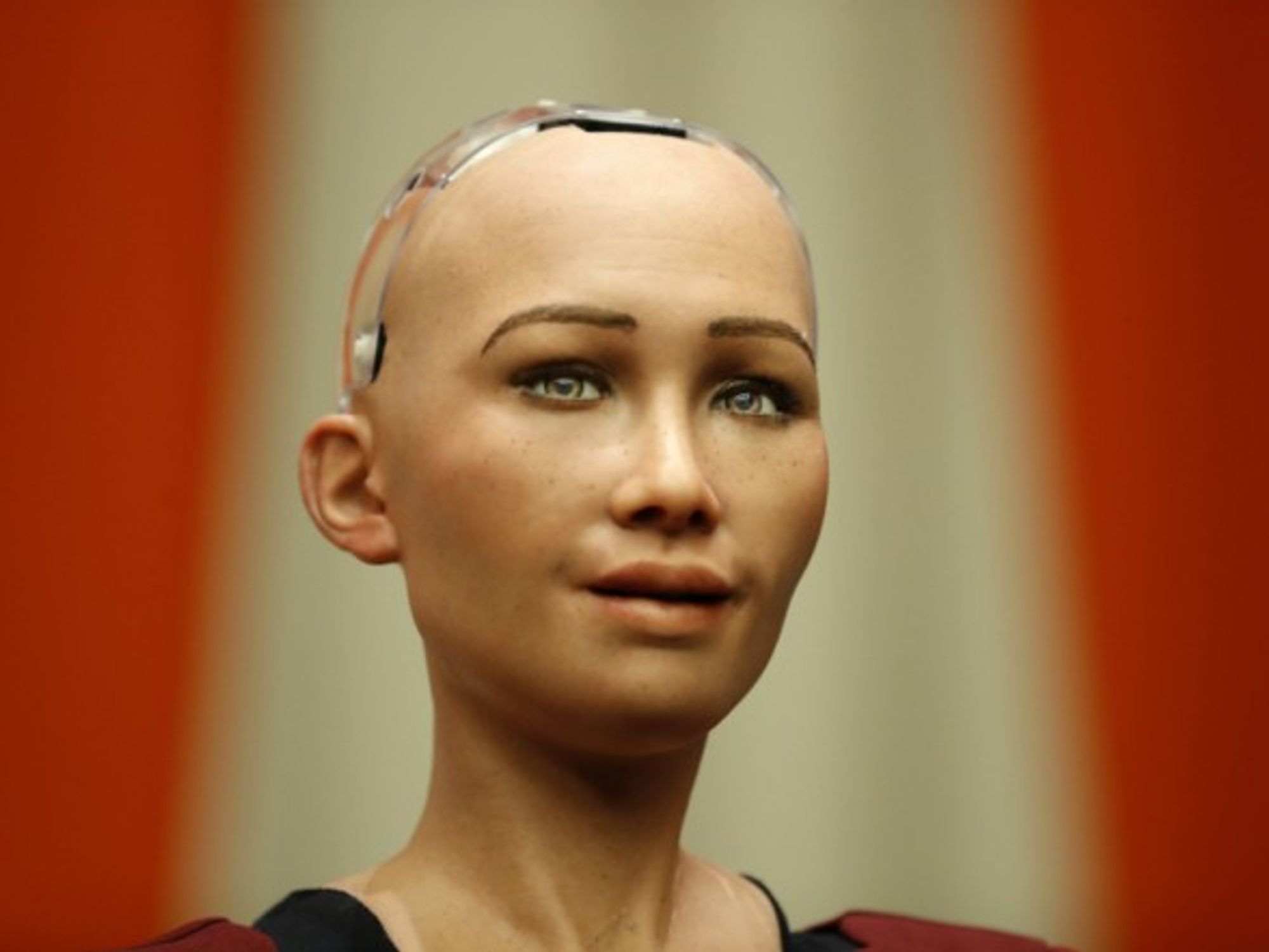 Sophia, a life-like humanoid robot.