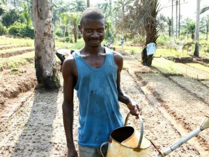Sowing the seeds of change
