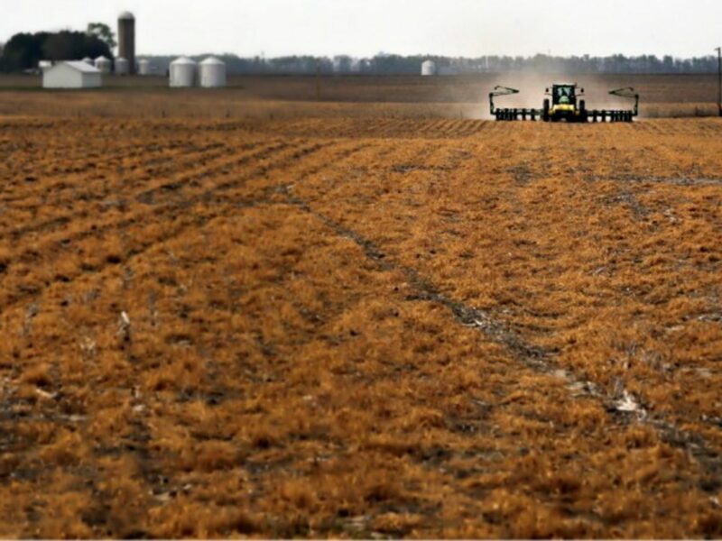 Sowing the seeds of hate