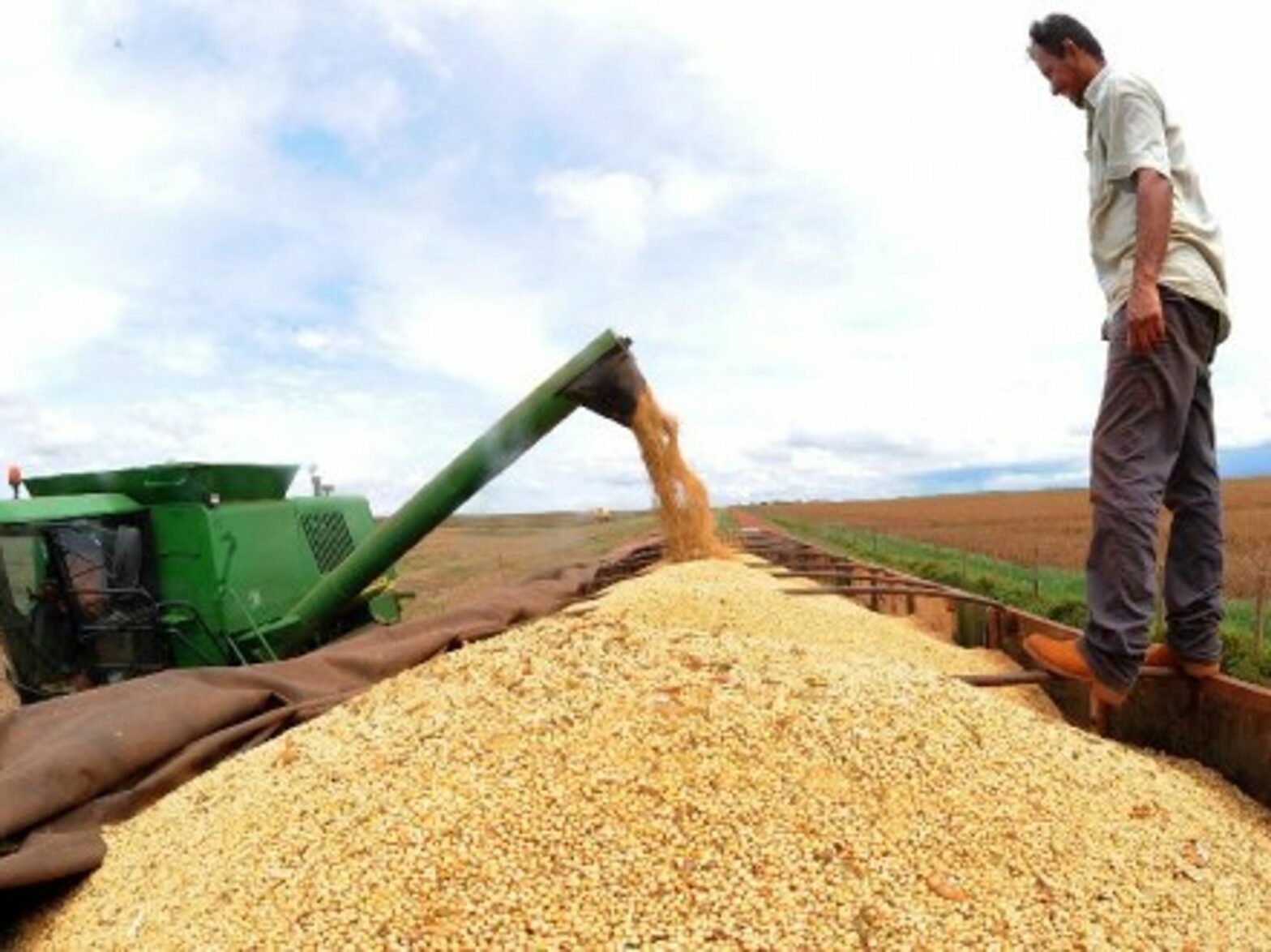 Soyabean harvest in Brasil