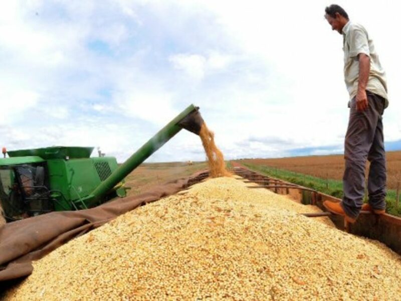 Soyabean harvest in Brasil