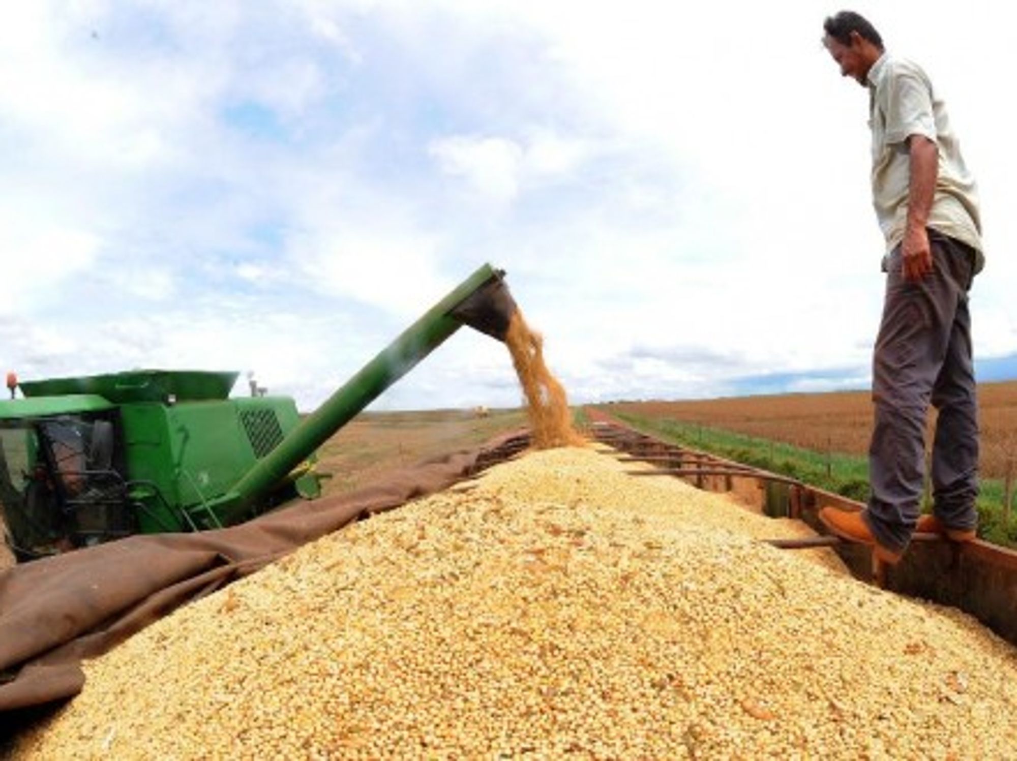 Soyabean harvest in Brasil