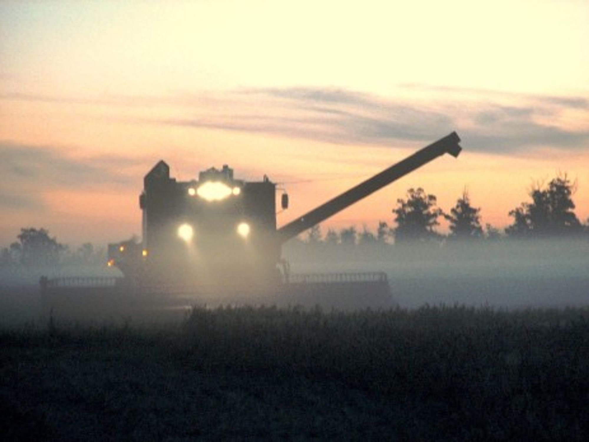 Soybean harvest in Brazil