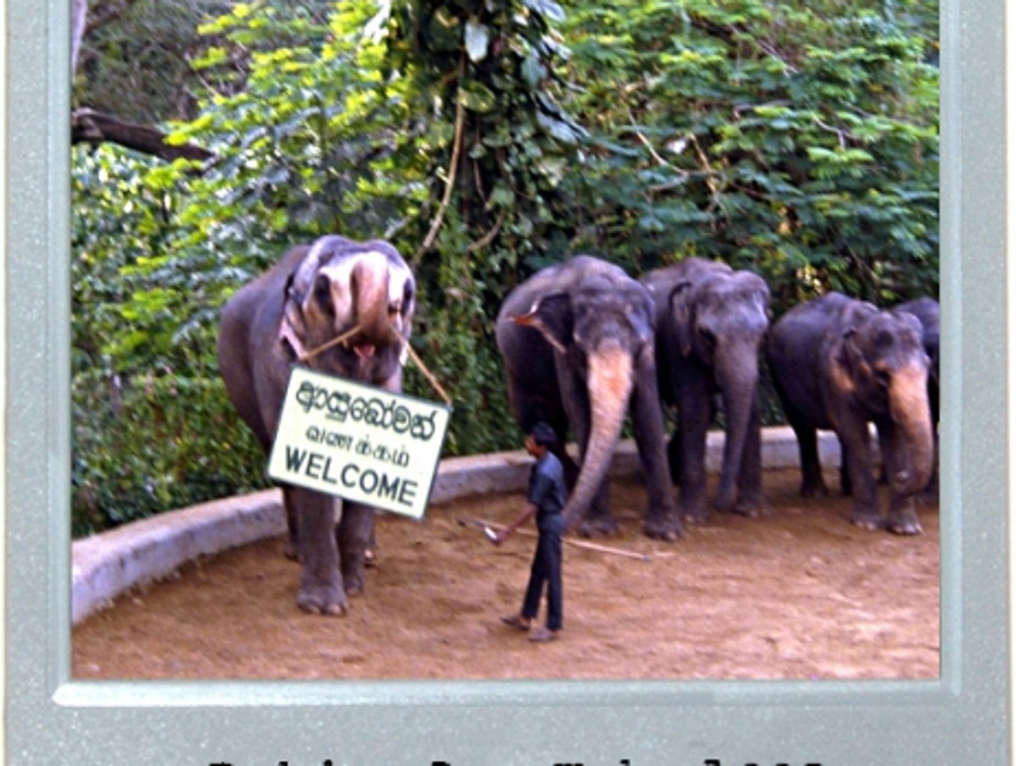 Sri Lanka Show