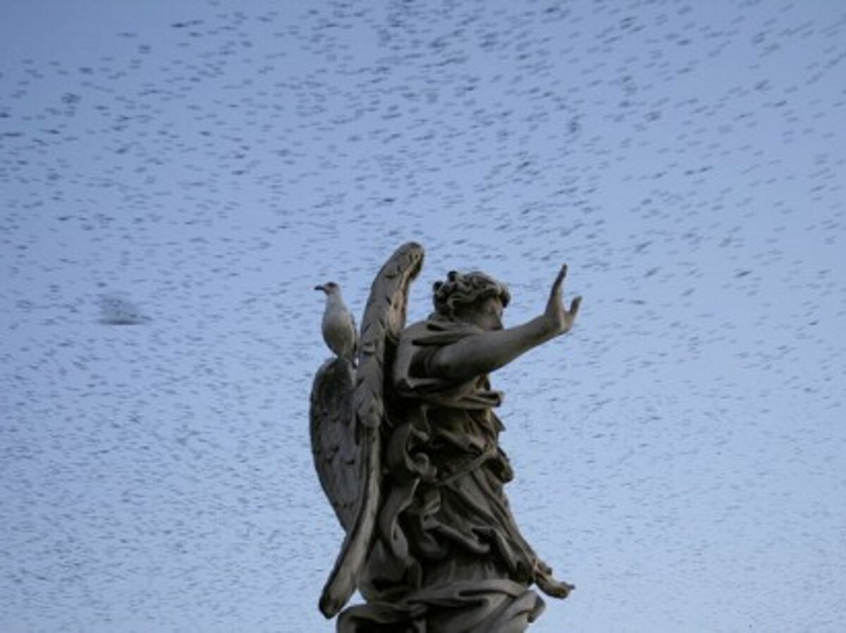 Starlings over Rome's Ponte Sant'Angelo