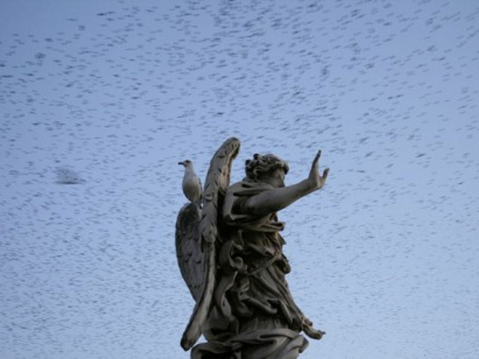 Starlings over Rome's Ponte Sant'Angelo