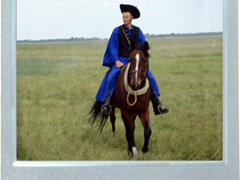 Steppe Into The Spotlight