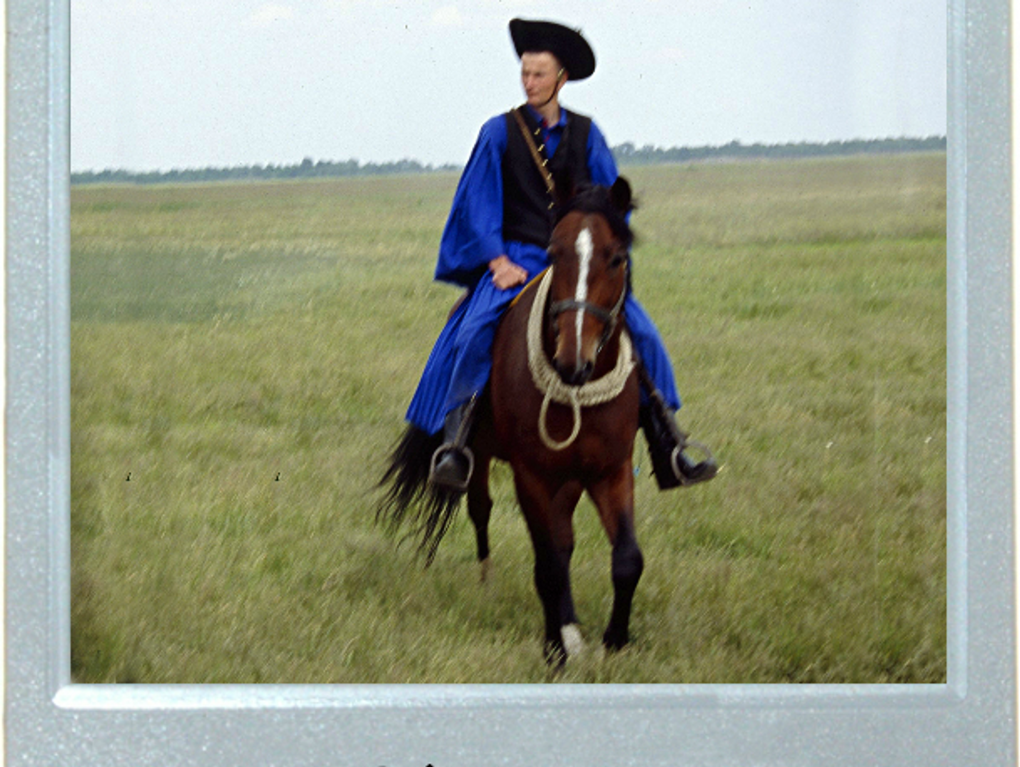 Steppe Into The Spotlight