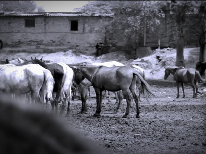 Still from the documentary 'Cinco Corazones'