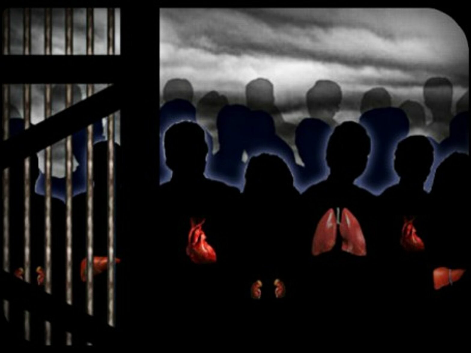 "Stop Organ Harvesting in China" illustration