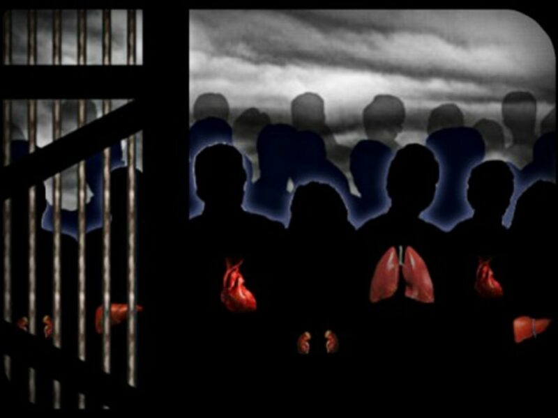 "Stop Organ Harvesting in China" illustration