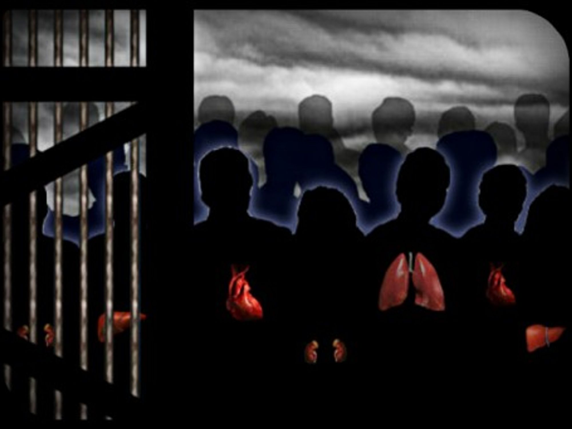 "Stop Organ Harvesting in China" illustration