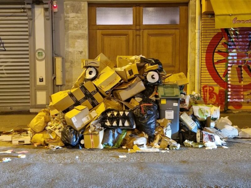 Le Weekend: Rubbish Street Art, Editing The “Queen Of Crime”, India’s New Cheetahs