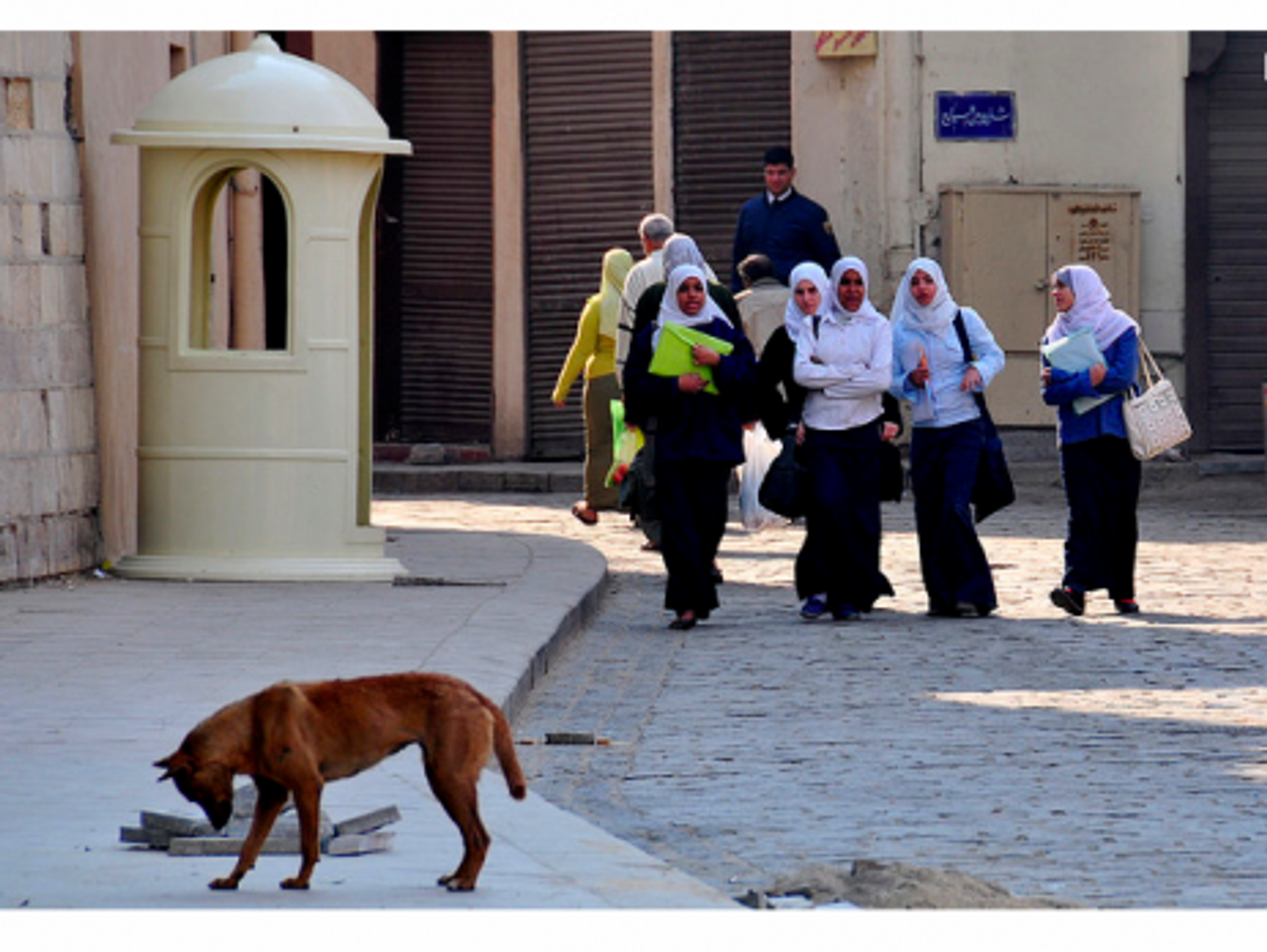 Streets of Cairo
