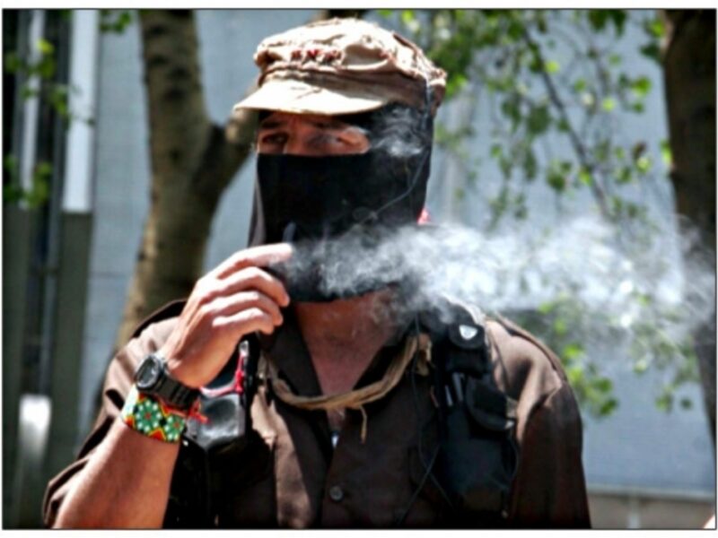Subcomandante Marcos in 2014