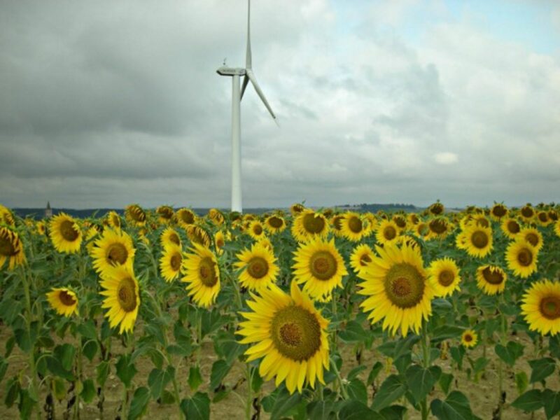 Sun and wind in Avignonet-Lauragais, France