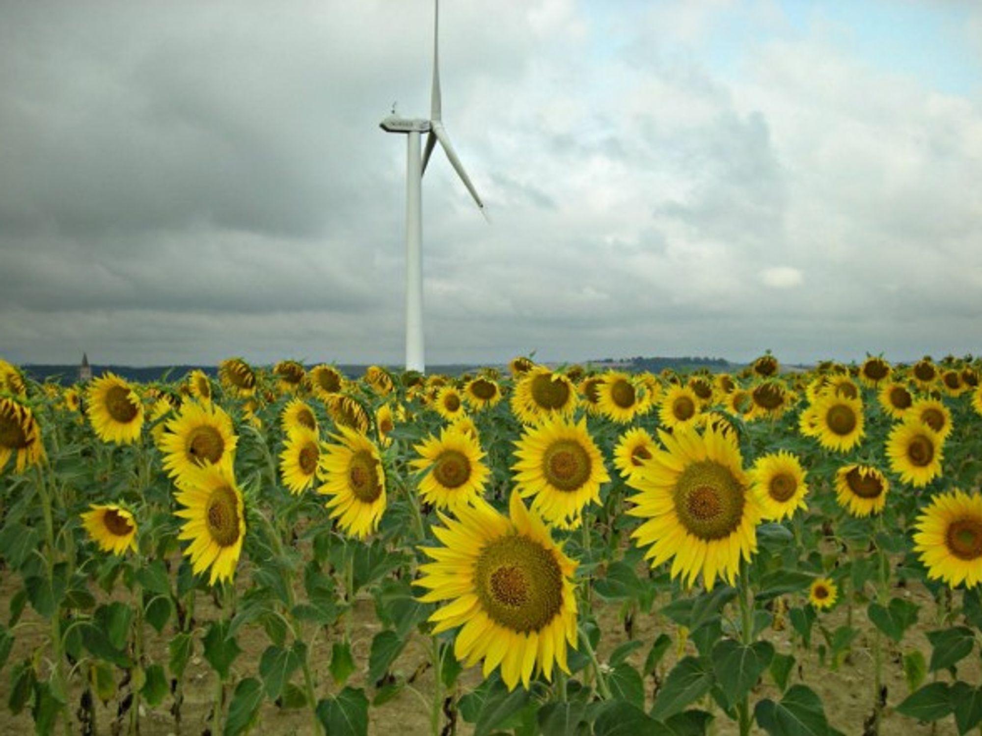 Sun and wind in Avignonet-Lauragais, France