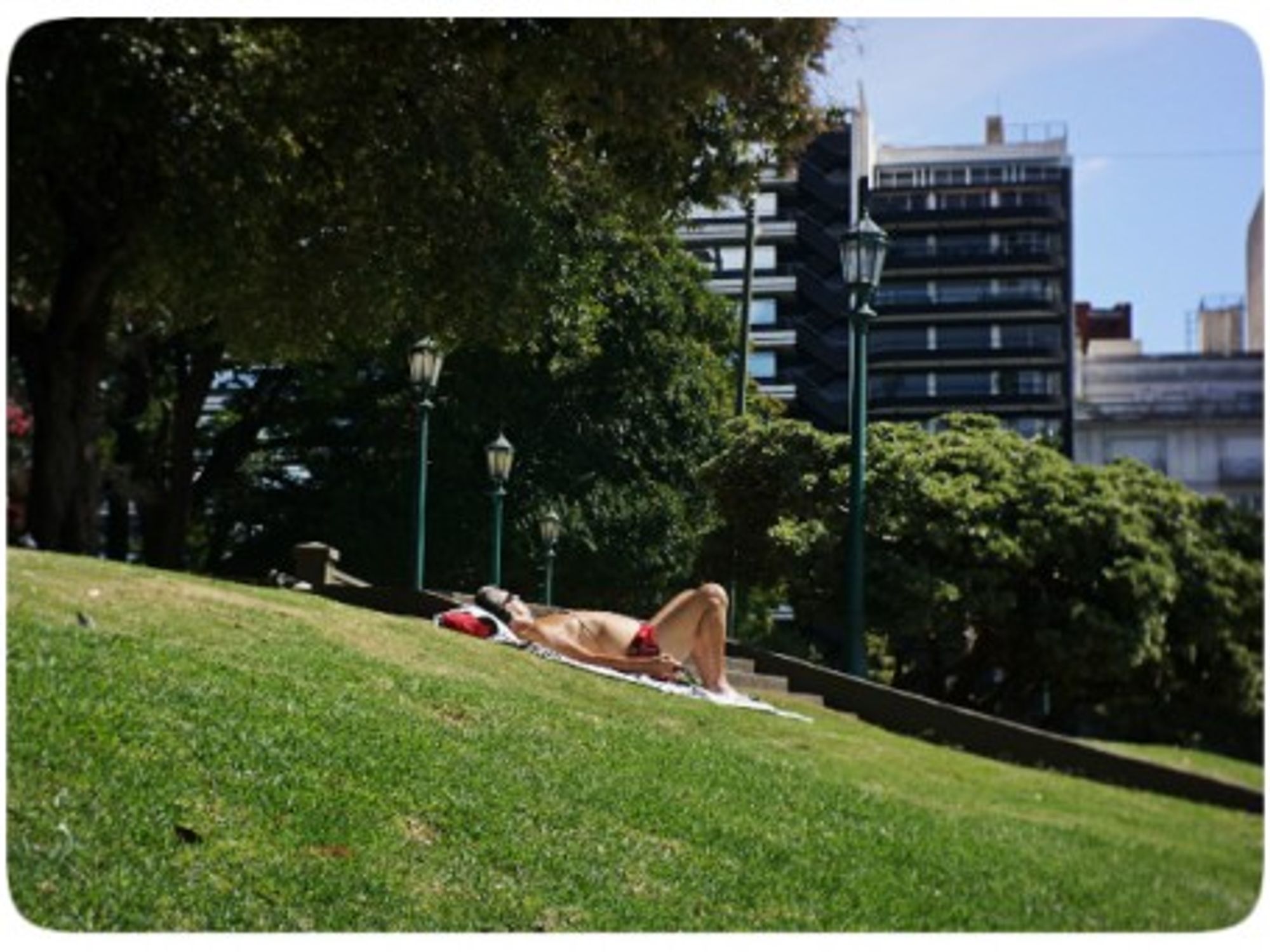 Sunbathing in a Buenos Aires' park