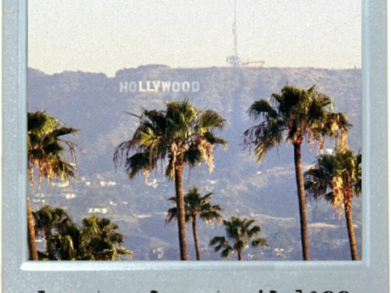 Surprise Sign